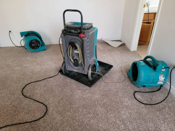 Best Fire Damage Restoration  in Fairview Park, OH