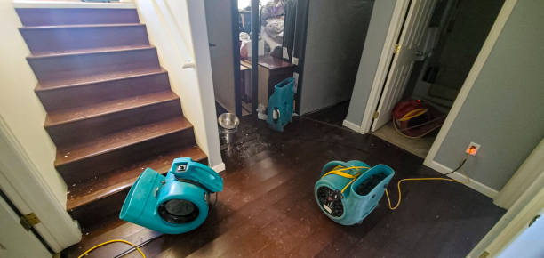 Best Water damage repair service  in Fairview Park, OH