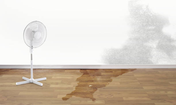 Best Carpet water damage restoration  in Fairview Park, OH