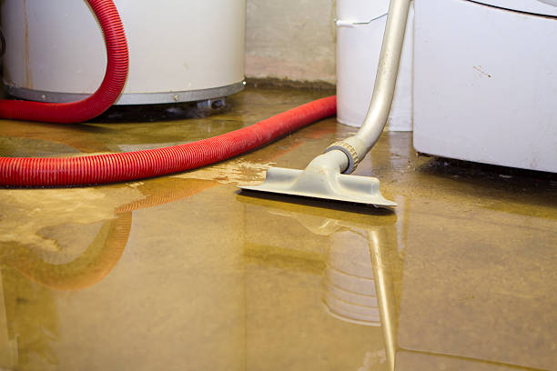 Best Local water damage restoration  in Fairview Park, OH