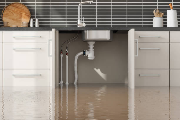 Best Local water damage restoration  in Fairview Park, OH