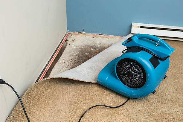 Best 24-hour water damage restoration  in Fairview Park, OH